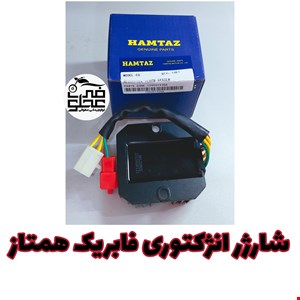 شارژر انژکتوری فابریک همتاز 