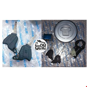 ست سوئیچ درب پالسی فابریک همتاز